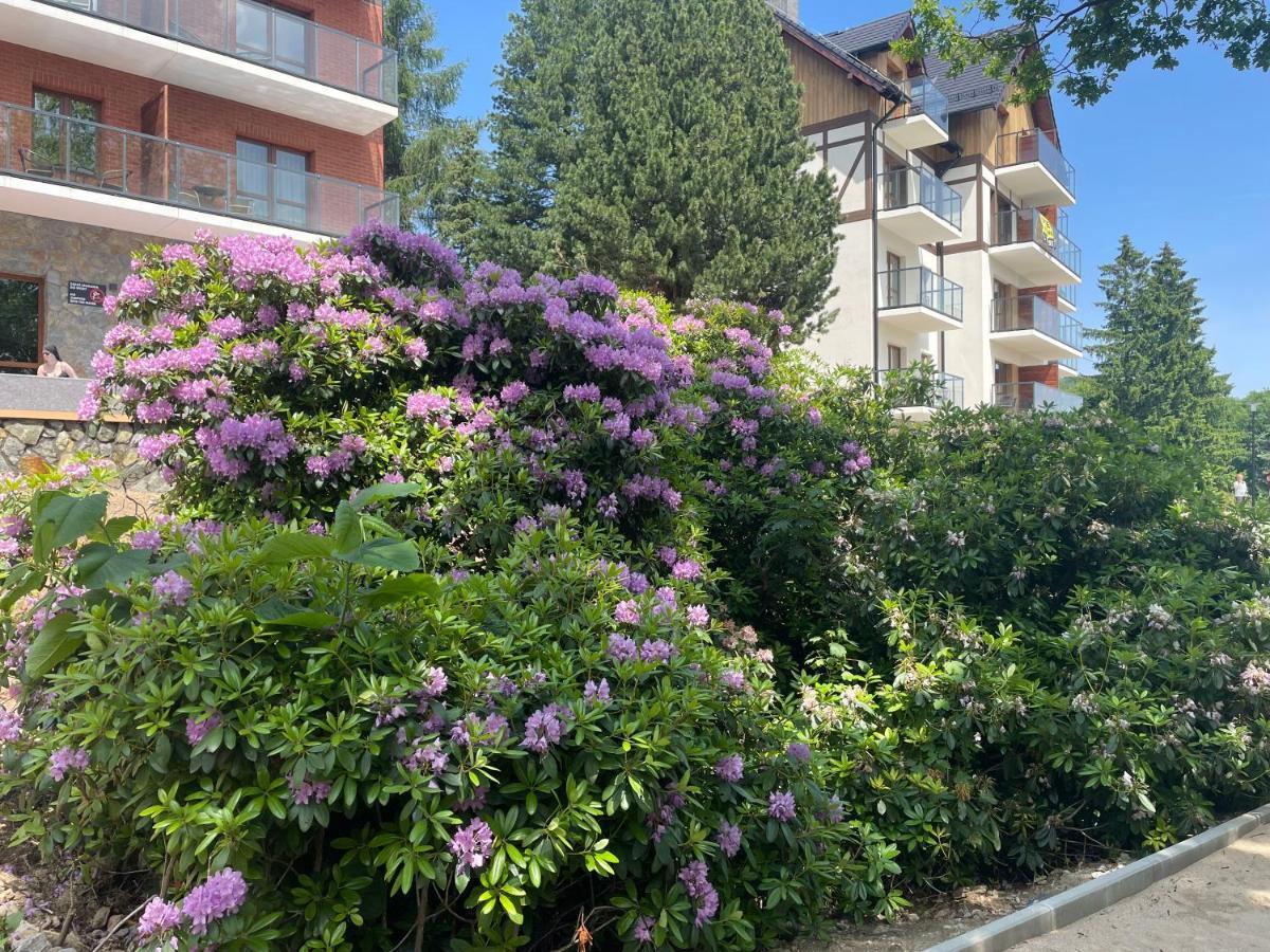 Apartament N&B Szklarska Poręba Exterior foto